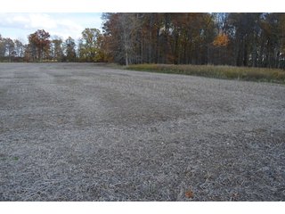 Property photo 9 - 127 Acres Offered in 8 Tracts - Allen & Dekalb County Land